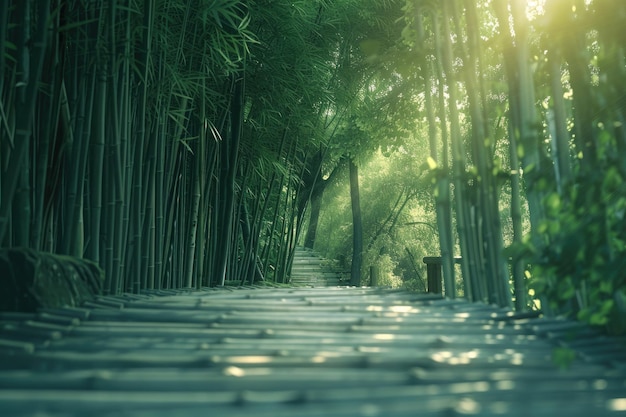 a bamboo forest with a sun shining through it