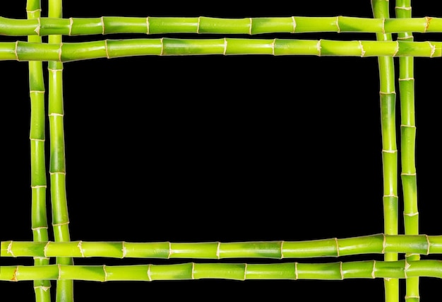 Bamboo frame made of stems