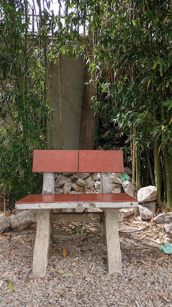 Bamboo grows near the fence and under the bamboo in the shade there is a chair with a brown back