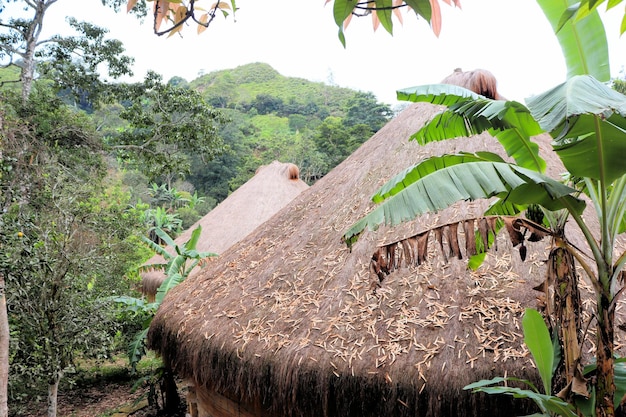 Bamboo house natural wood Eco house texture art tree in the tropics