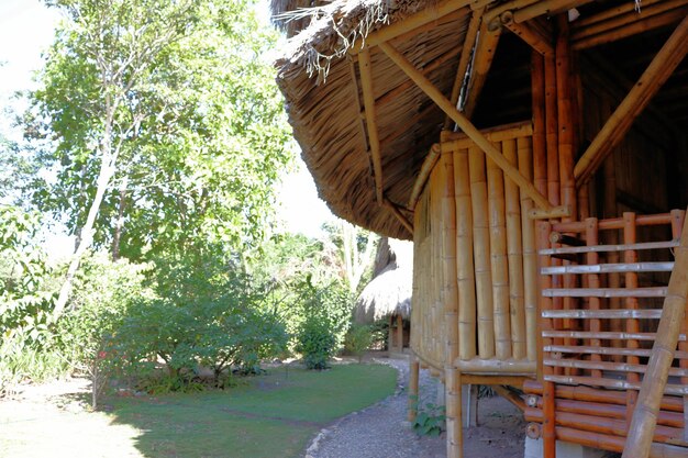 Bamboo house natural wood Eco house texture art tree in the tropics