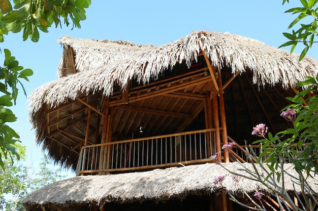 Bamboo house natural wood Eco house texture art tree in the tropics