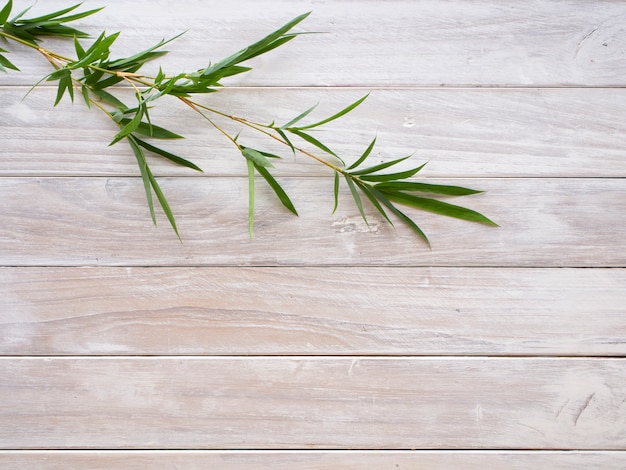 Bamboo leaves on white wooden