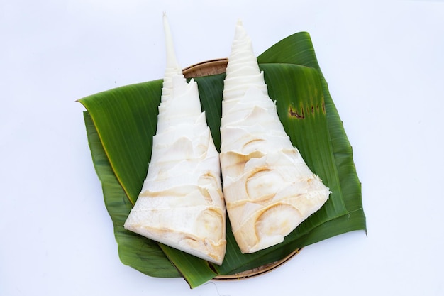 Bamboo shoots on white background