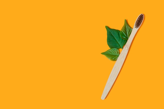 bamboo toothbrush with green leaves on orange