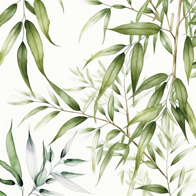 Bamboo tree, bamboo leaves