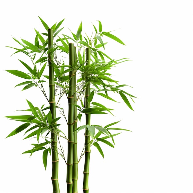 Bamboo tree leaf plant stem and stick 3d bamboo tree Ai Generative