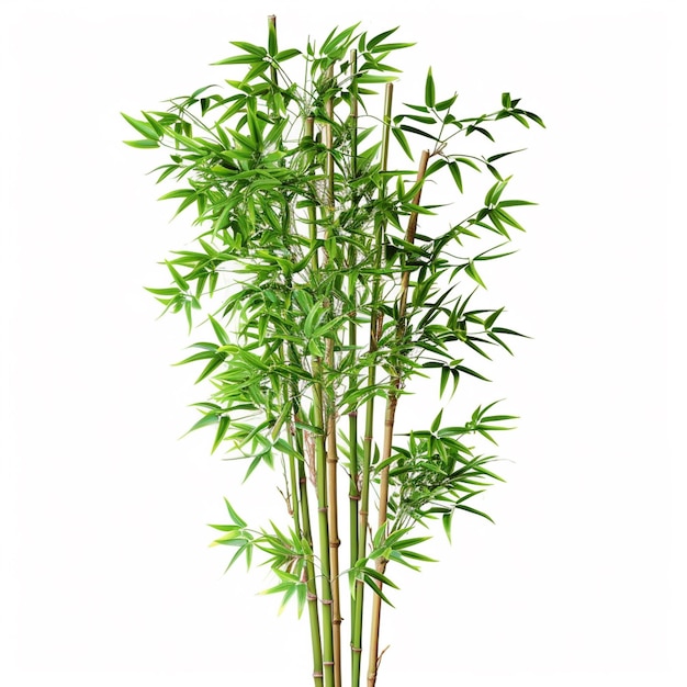 Bamboo tree leaf plant stem and stick 3d bamboo tree Ai Generative