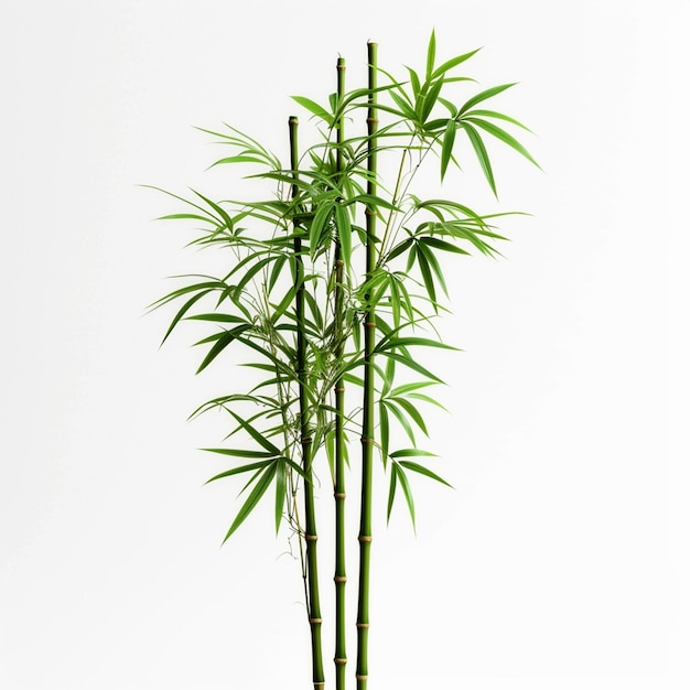 Bamboo tree leaf plant stem and stick 3d bamboo tree Ai Generative