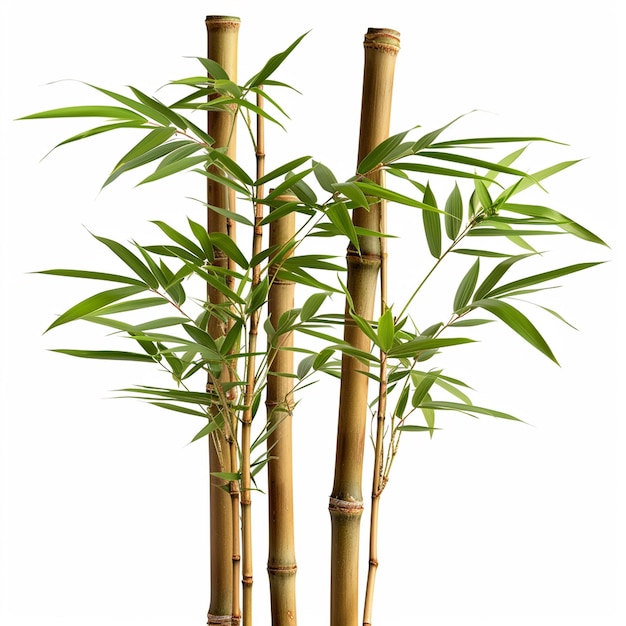 Bamboo tree leaf plant stem and stick 3d bamboo tree Ai Generative