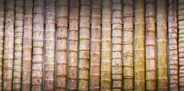 Bamboo wall decoration background or texture selective focus