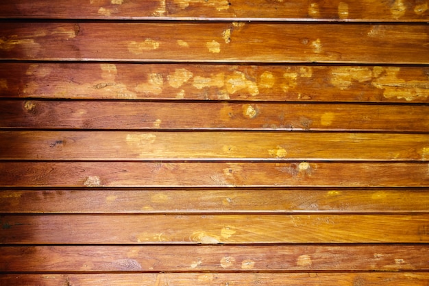 Bamboo wood background 