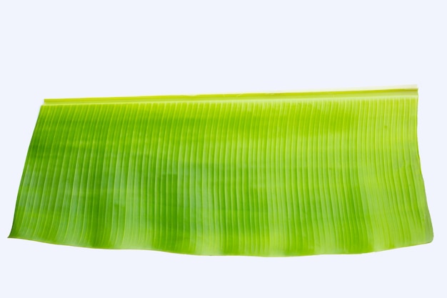 Banana leaf on white background