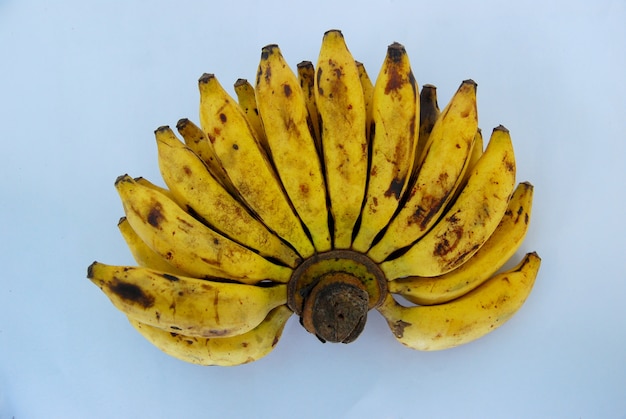 bananas on a white background