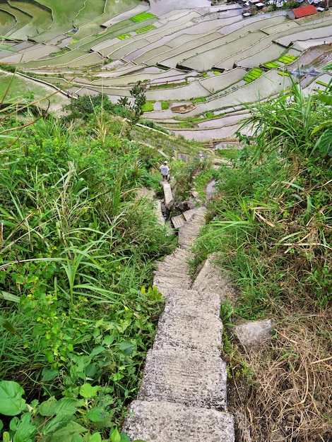 Banaue, Philippines - 08 Mar 2012. The rice terraces in Banaue, Philippines