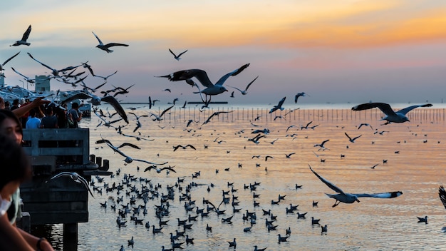 Bang Pu. Thailand. December 19 - 2020: People watched the sunset at Bang Pu, There are lots of seagulls fly, Recreation Center, Thailand.