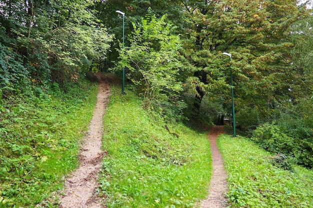 Banja Koviljaca Loznica Serbia Mount Guchevo park and forest forest terraces Withered leaves in September Paths and paths for hiking Calm ecological rest for recovery Mixed European forest