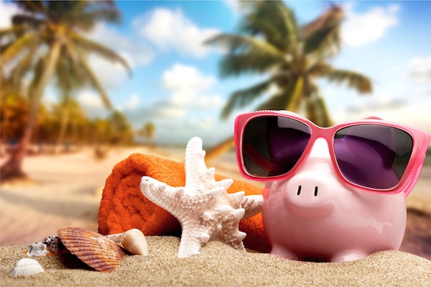 Bank beach sand piggy leisure color background