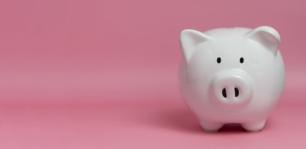 Bank saving income financial banking investment profit money economy retirement planning budget earning fund business piggy white on pink background