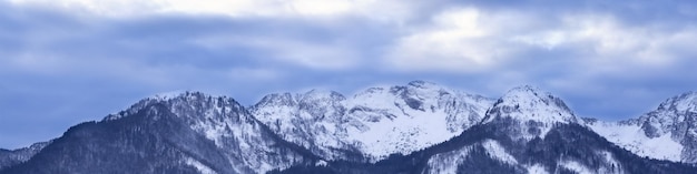 Banner 4x1 with winter mountain landscape with forest mountain peaks snowy slopes