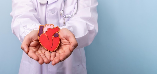 Banner of doctor hands holding paper red heart Charity donation concept