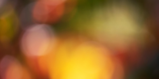 Banner natural defocus background red yellow orange green Autumn tree bokeh blurred background