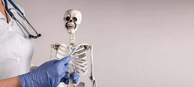 Banner with doctor pointing to skeleton clavicle with pencil Woman in lab coat with stethoscope teaching anatomy to students Skeletal system anatomy medical education concept