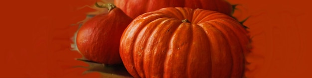 Banner with pumpkins on a dark orange background Background to prepare for Halloween