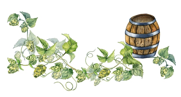 Banner of wooden beer barrel and hop vine watercolor illustration isolated on white background