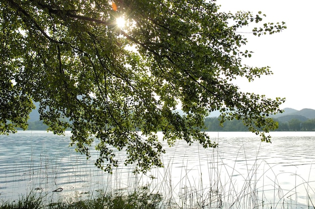 Banyoles lake