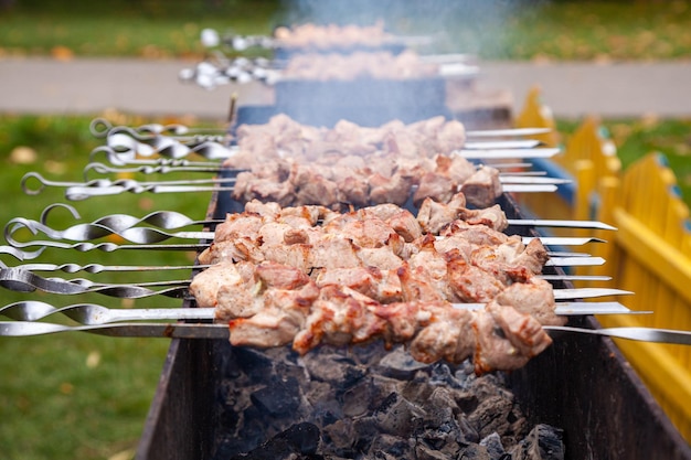 Barbecue skewers with lamb meat on the brazier