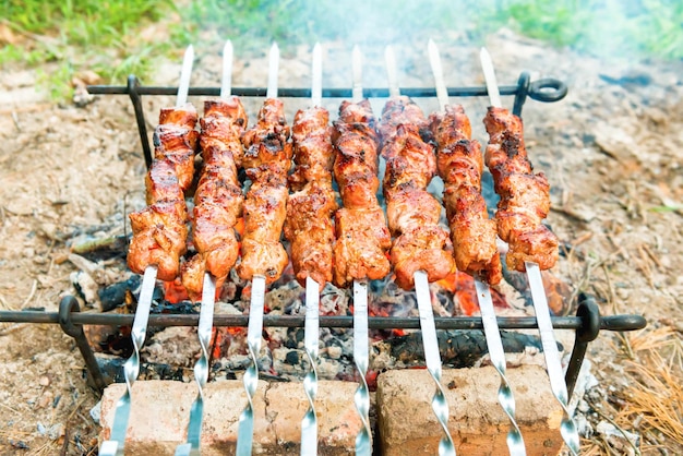 Barbecue with grilled kebab meat on fire