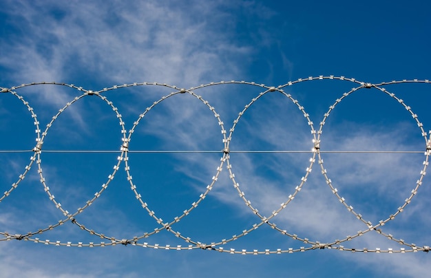 Barbed fence for protection purposes