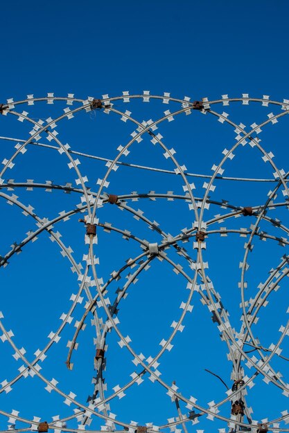 Barbed fence for protection purposes