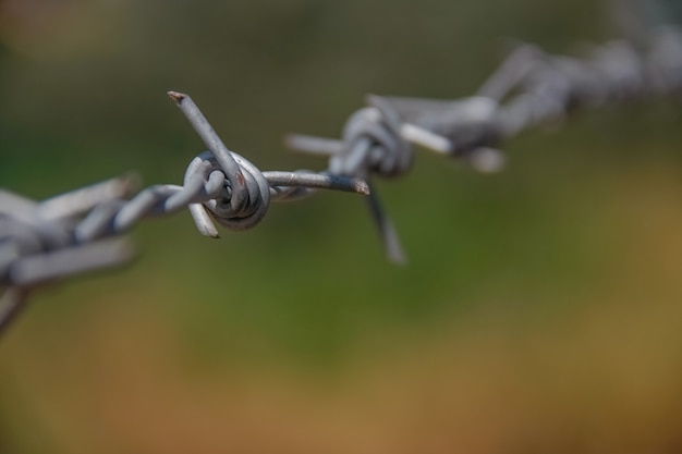 Barbed fence with ground