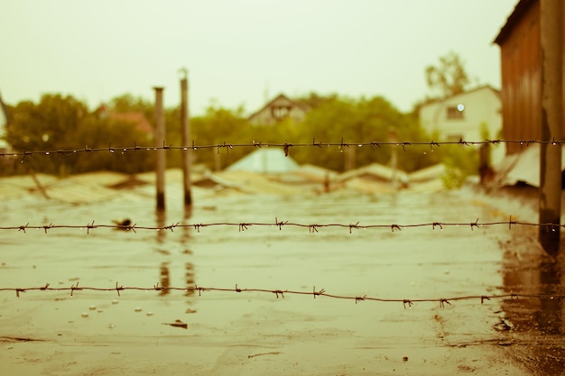 Barbed wire against the background of the roof