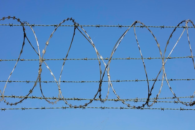 Barbed wire border fence and defense