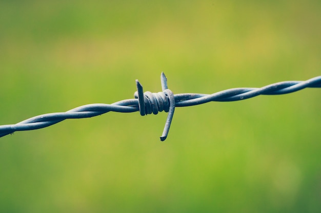 Barbed wire in countryside