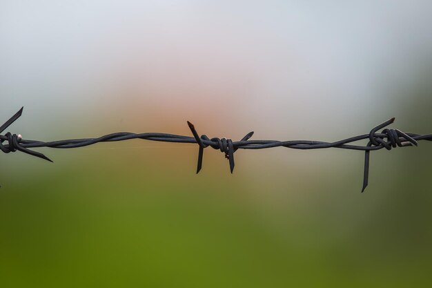 Barbed wire at the green backdrop