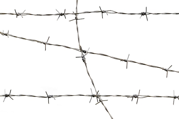 Barbed wire, isolated on a white background