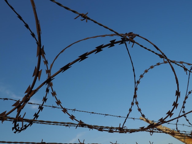 Barbed wire in skeins and stretched against the blue sky Barbed wire against thieves and vandals An insurmountable obstacle Rusty wire rows spiral and coils of barbed wire