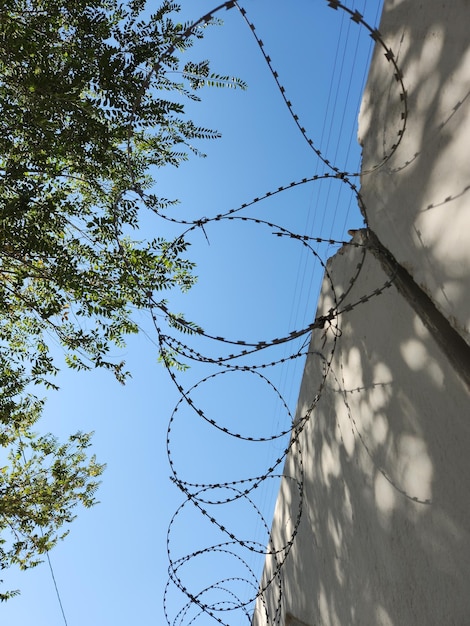 Barbed wire on white wall and blue sky with shadows from bright sun