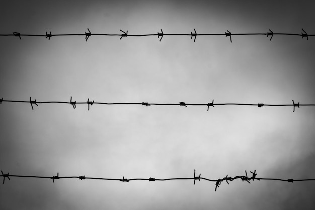 Barbed wires against the gray sky on the fence of a fenced area