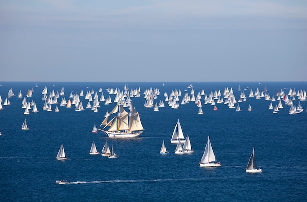 Barcolana 2010, The Trieste regatta 