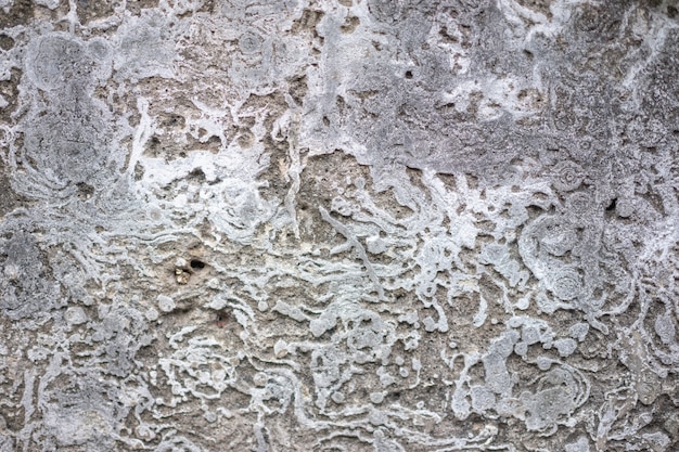 The bare cement wall texture has rough skin. It has abstract pattern in grey tone.