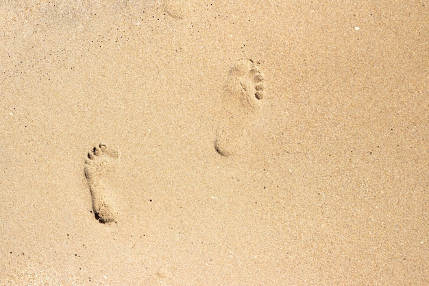 Bare footprints on the sandy seashore Travel and tourism Template layout for text