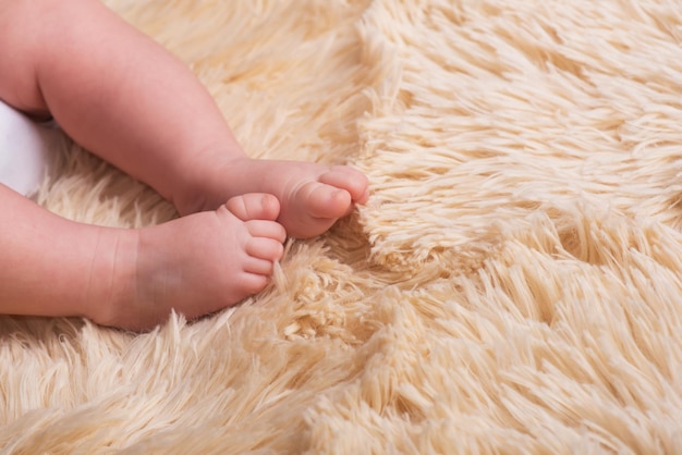 Bare legs of a newborn on a fluffy, light, one-ton, warm covering. Cute newborn baby feet close up. Place for text, copyspace