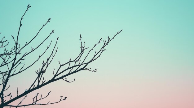 Photo bare tree branch against pastel gradient sky minimalistic nature scene