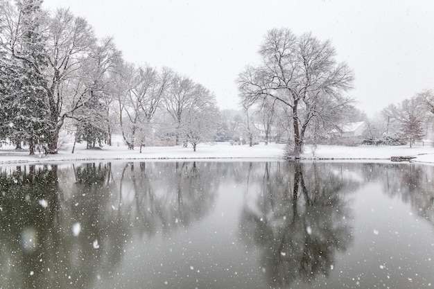 Photo bare trees by lake against sky during winter