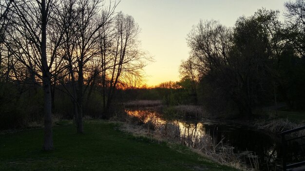 Photo bare trees on landscape at sunset